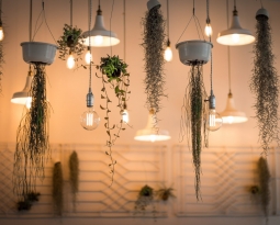 The Rented Smart Home – Lighting